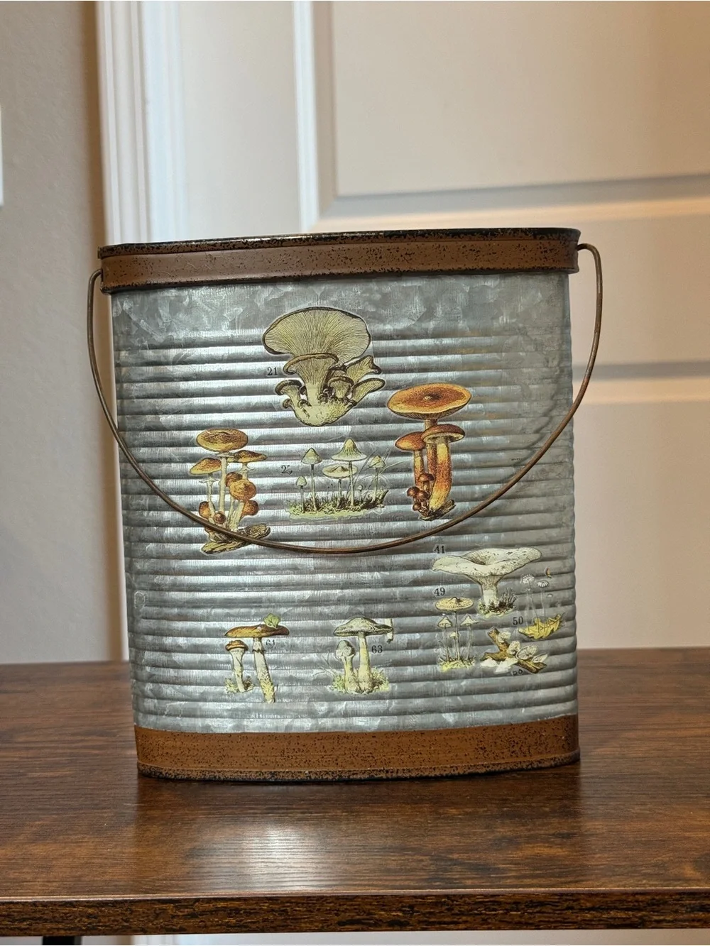 Rustic Metal Mushroom Accent Bucket - Gray and Brown